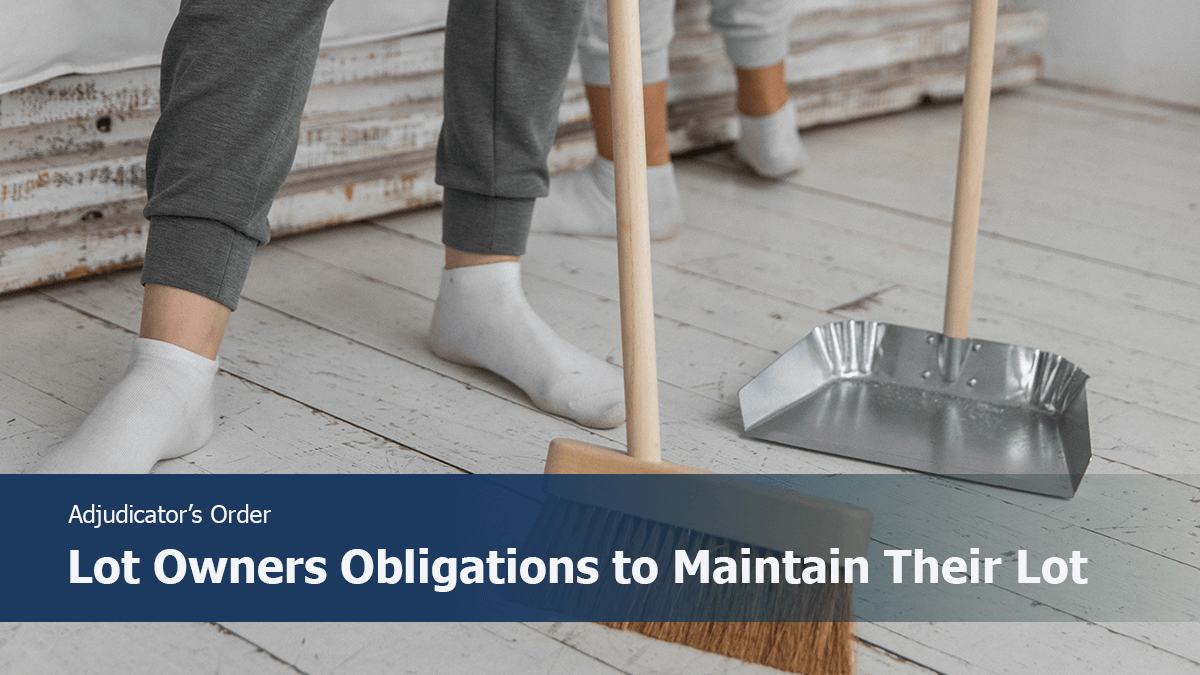 Lot Owners Obligations to Maintain Their Lot