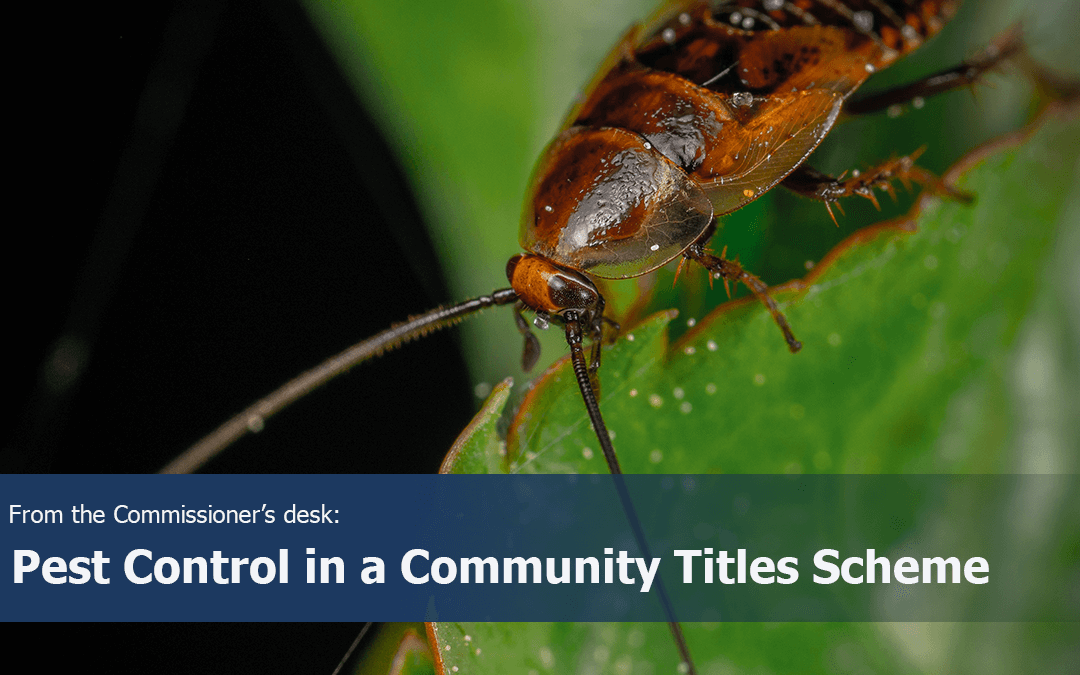 Commissioner’s Desk: Pest Control in a Community Titles Scheme