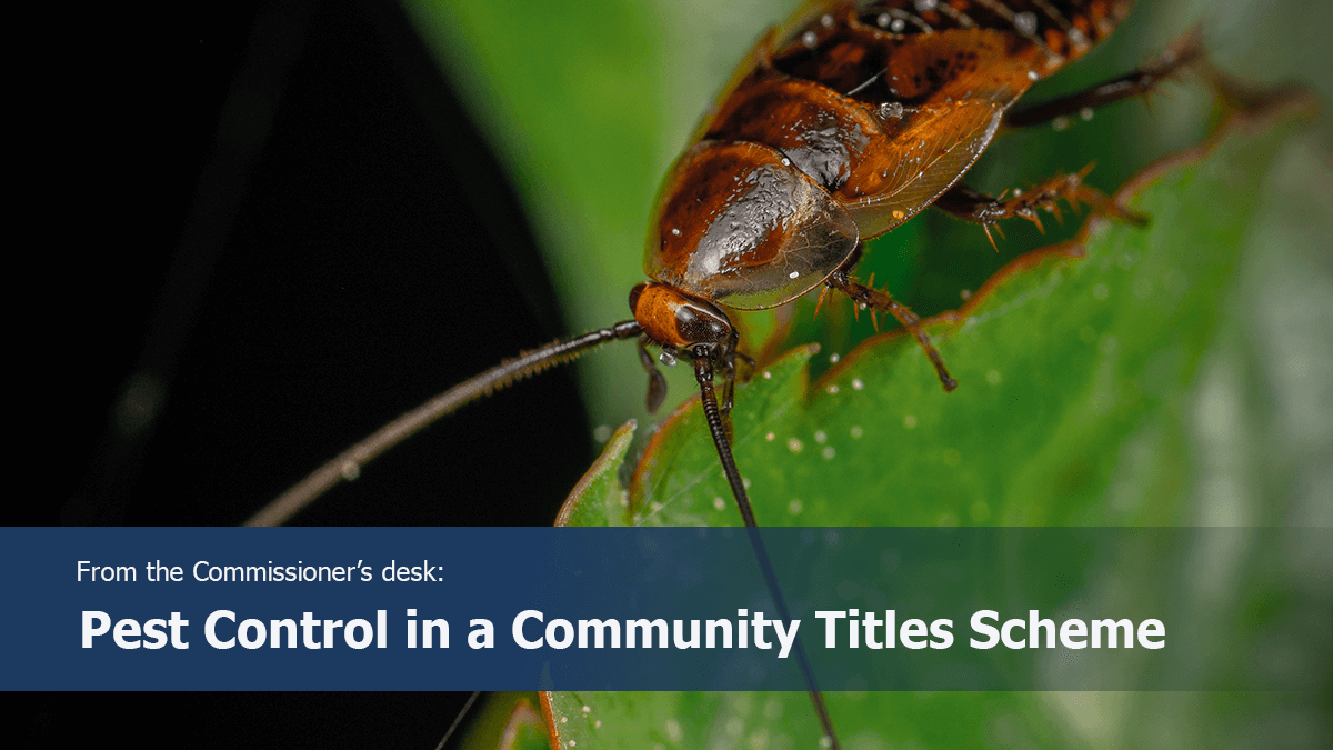 Commissioner’s Desk: Pest Control in a Community Titles Scheme