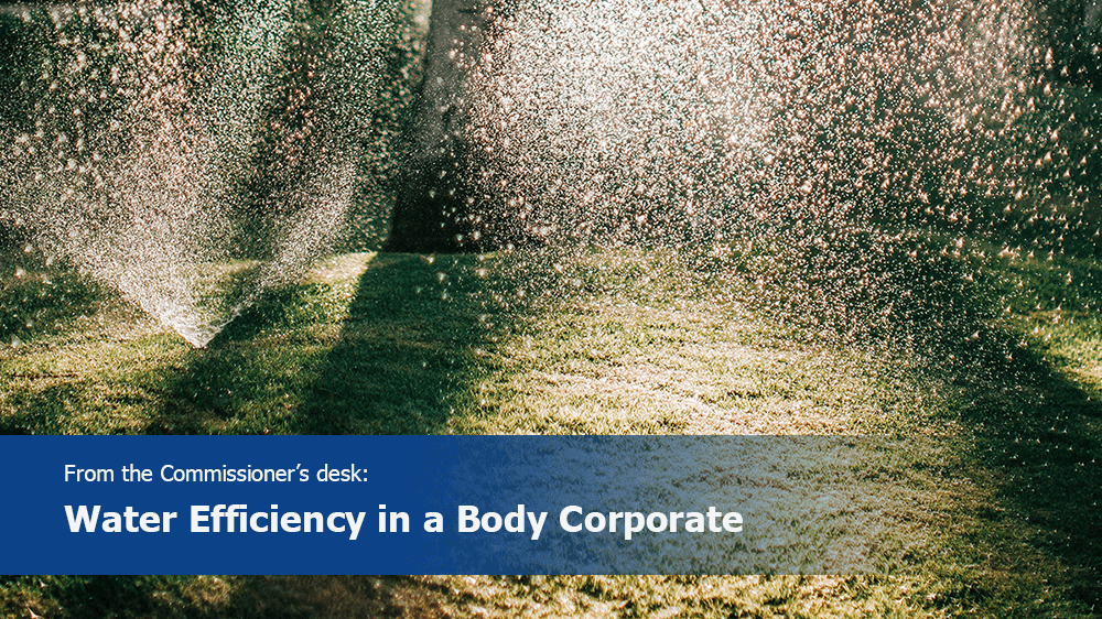 Water Efficiency in a Body Corporate