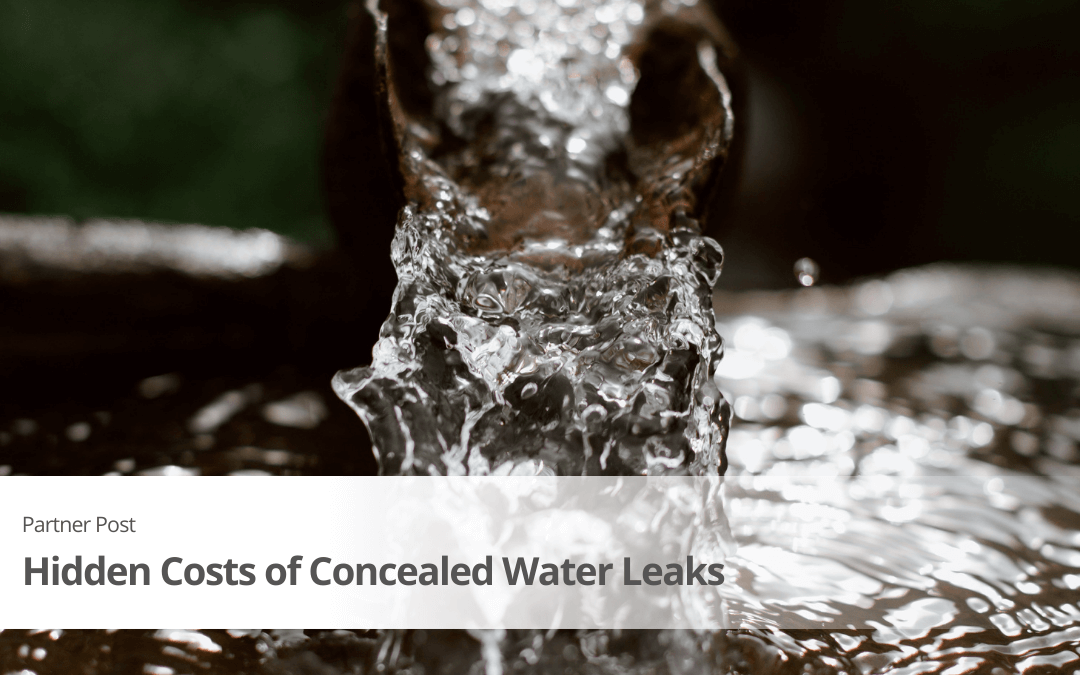 Concealed Water Leaks – The Hidden Cost