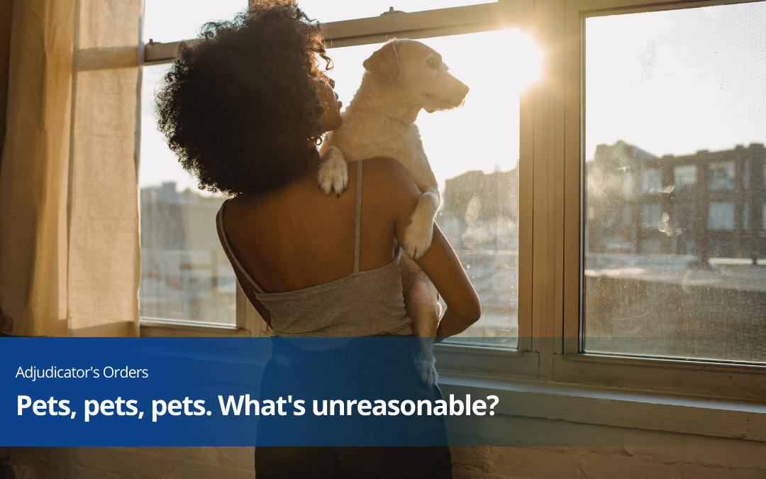Pets, pets, pets. What’s reasonable?