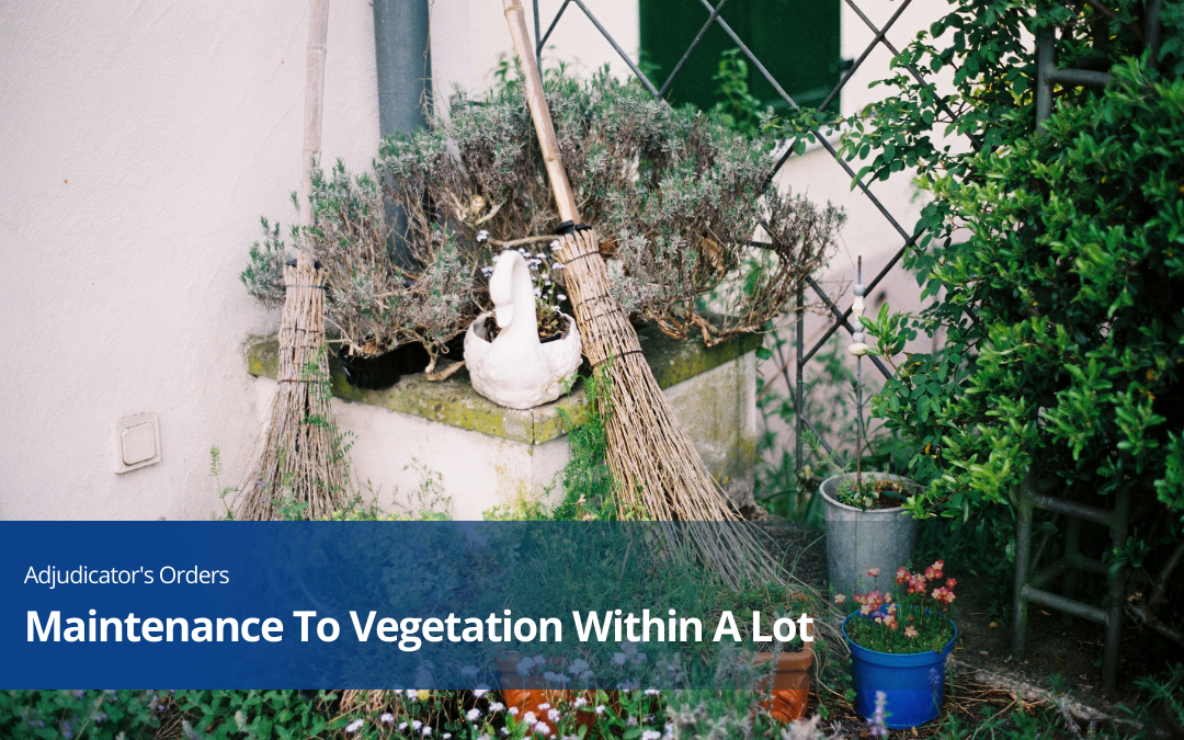 Maintenance to Vegetation Within A Lot