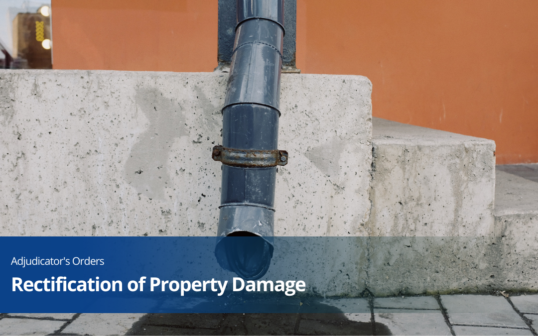 Rectification of Property Damage