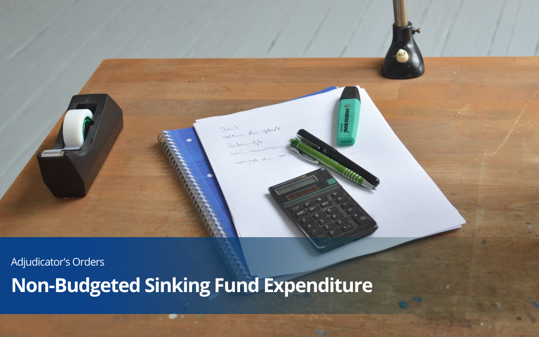 Non-Budgeted Sinking Fund Expenditure