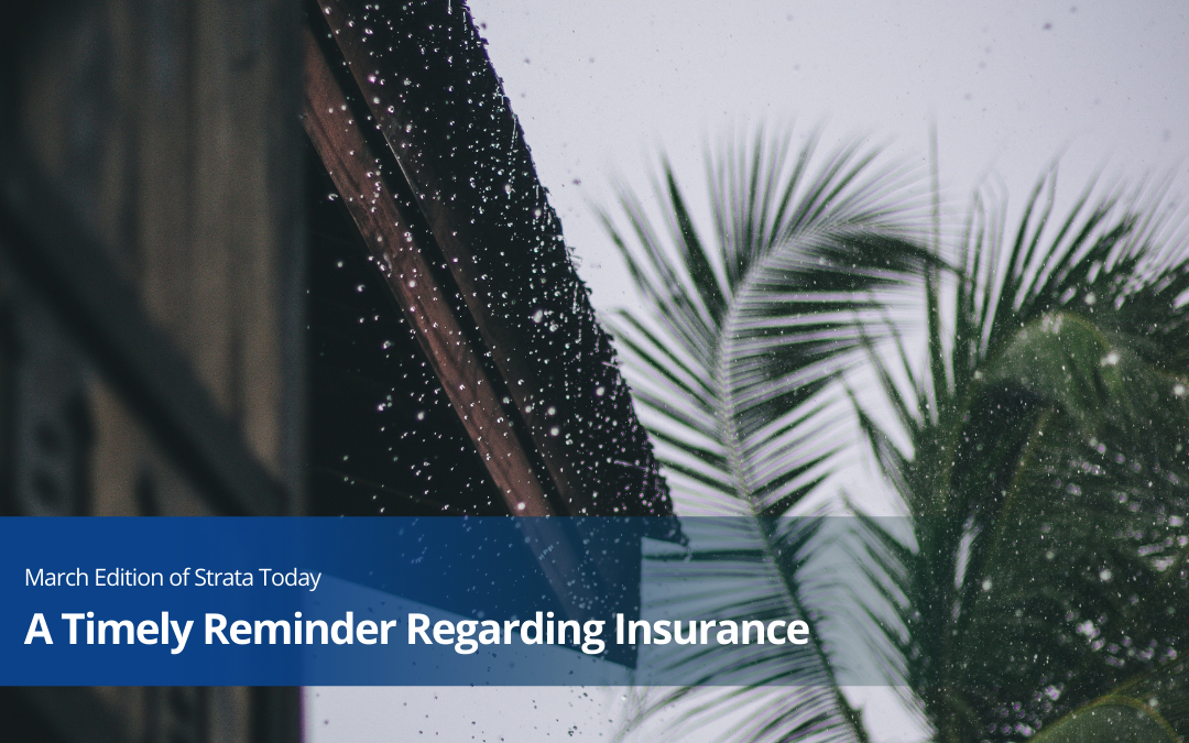 A Timely Reminder Regarding Insurance