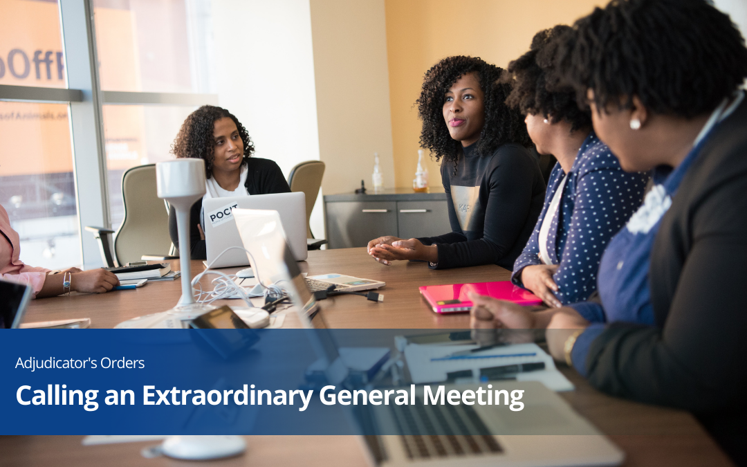 Procedures for Calling an Extraordinary General Meeting