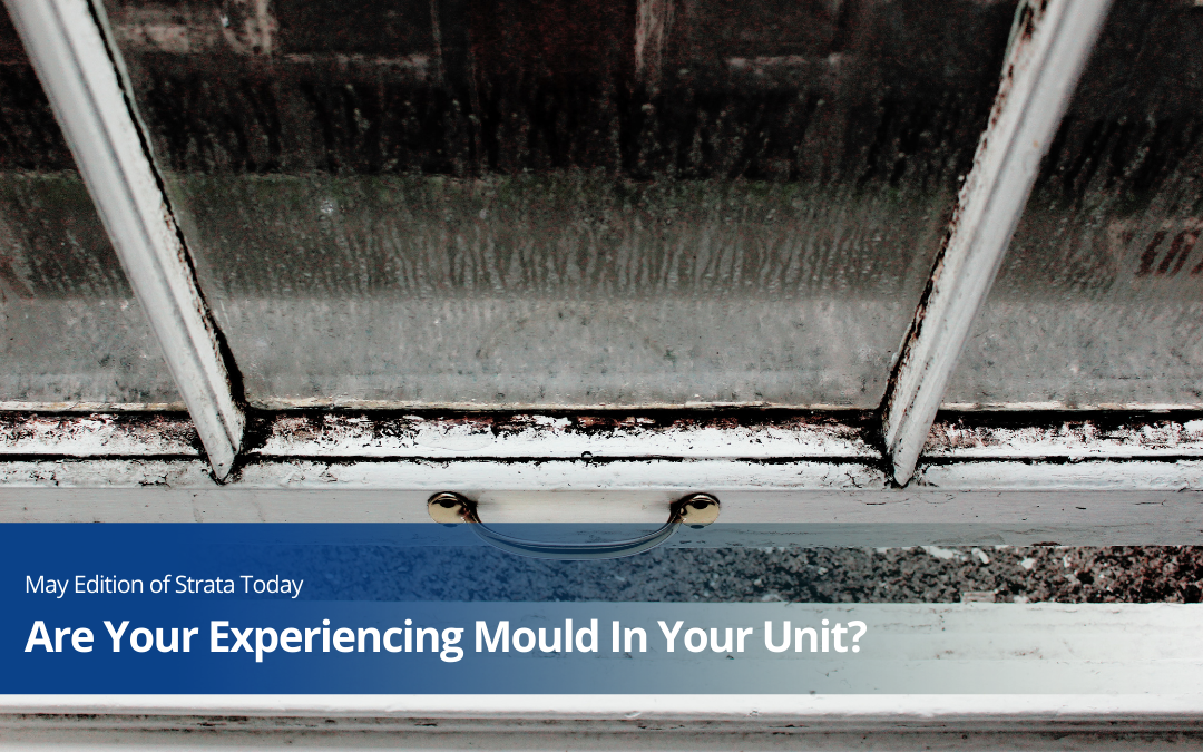 Are You Experiencing Mould In Your Unit?