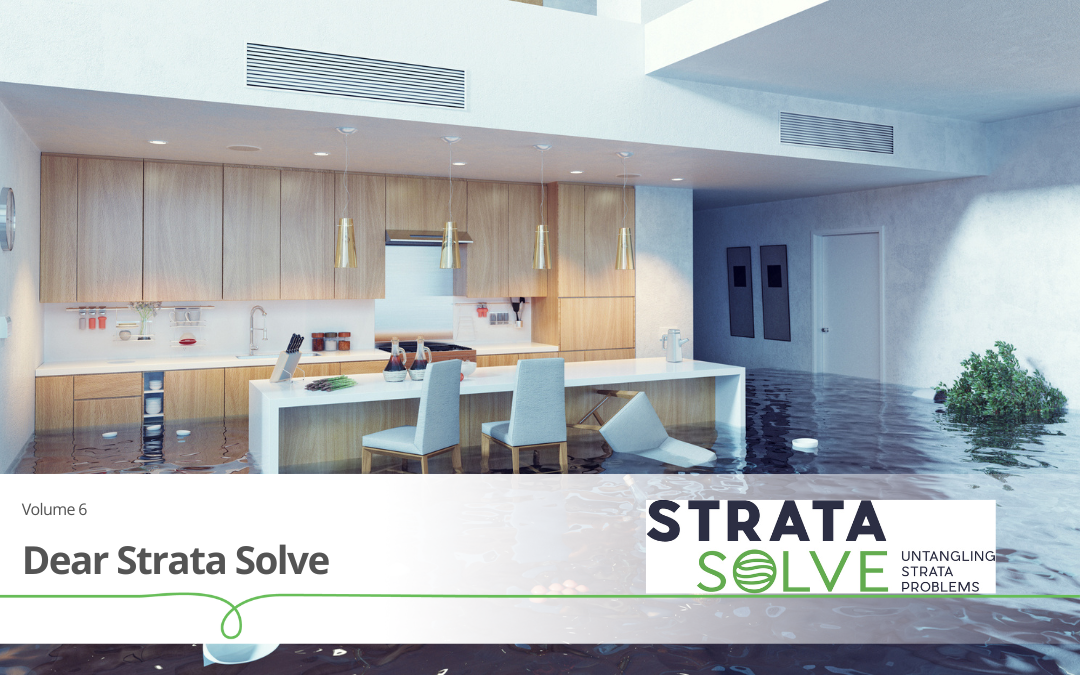 Dear Strata Solve