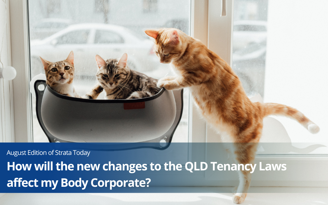 How will the new changes to the Queensland Tenancy Laws affect my Body Corporate?
