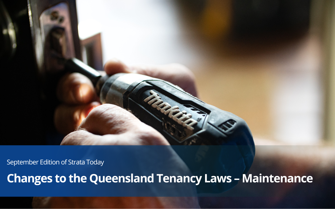 Changes to the Queensland Tenancy Laws – Maintenance