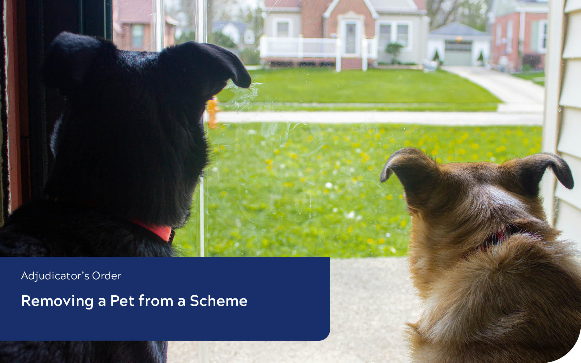 Removing a Pet from a Scheme – What is an Unreasonable Amount of Barking.