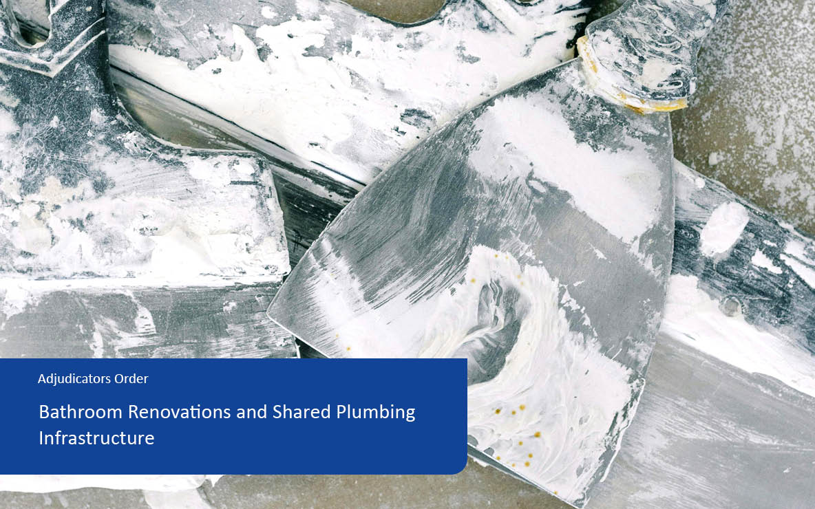 Bathroom Renovations and Shared Plumbing Infrastructure