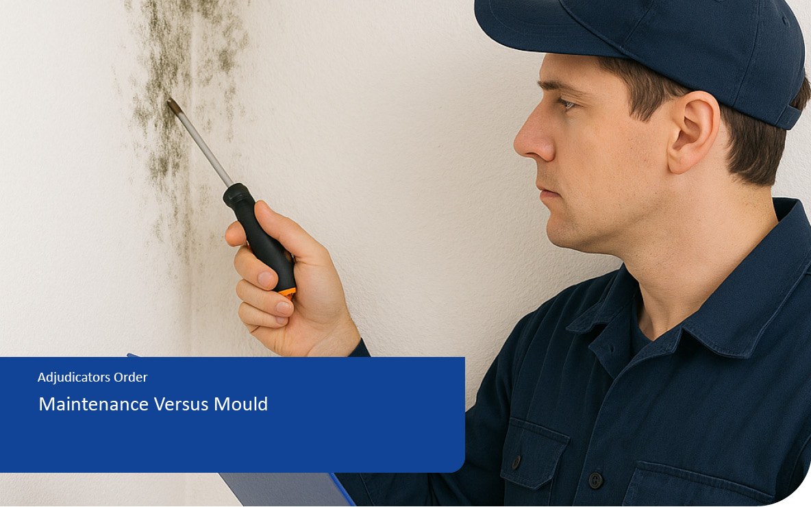 Maintenance Versus Mould