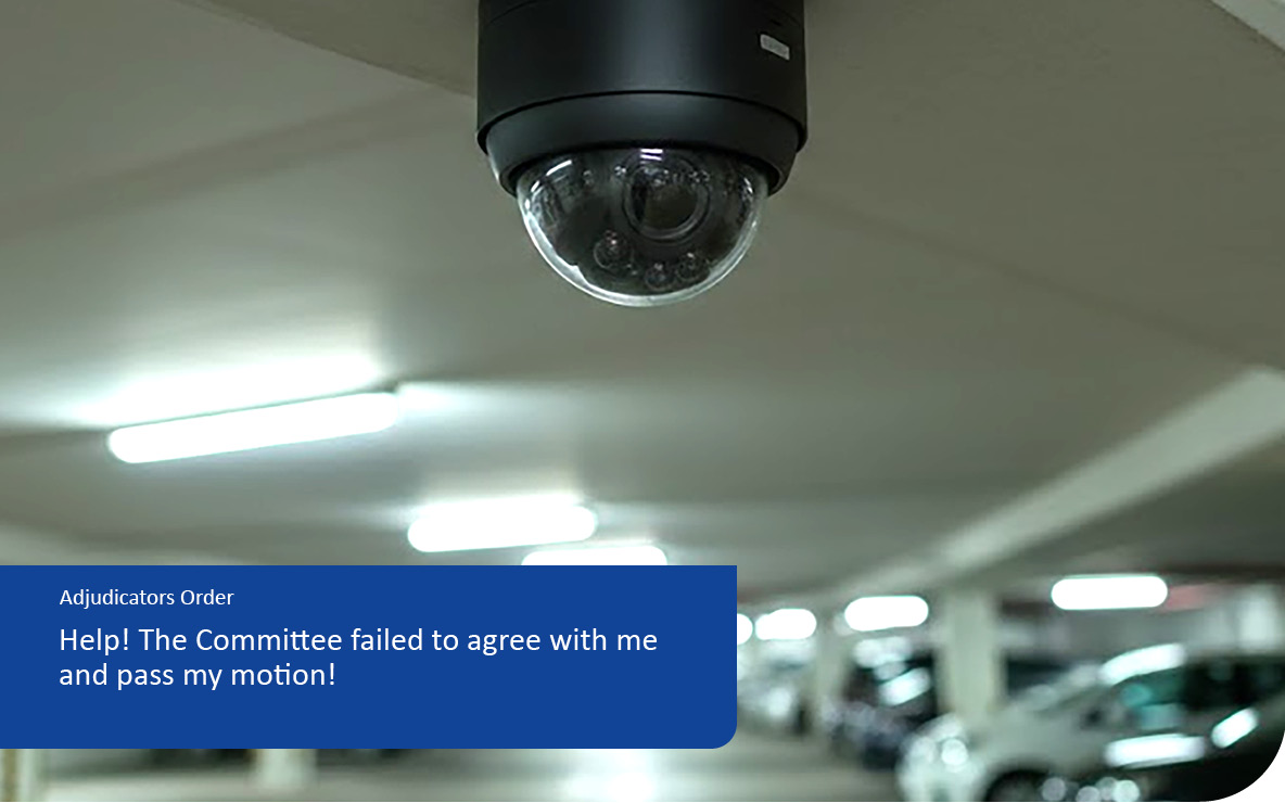 Help! The Committee failed to agree with me and pass my motion!