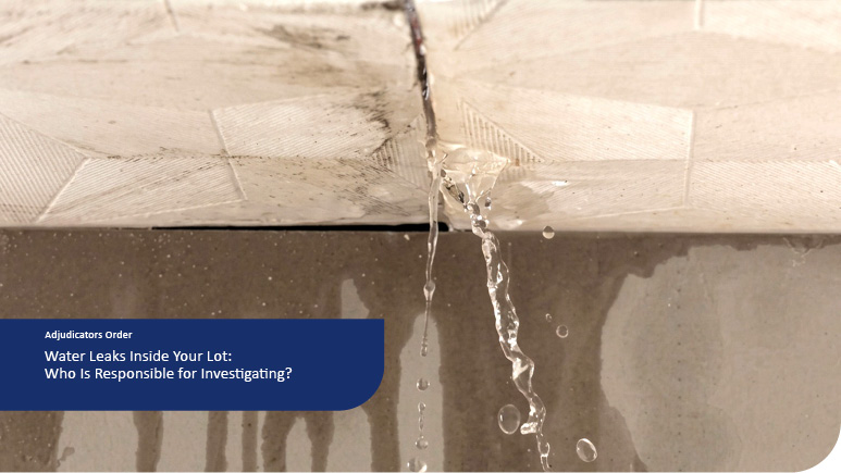 Water Leaks Inside Your Lot: Who Is Responsible for Investigating?